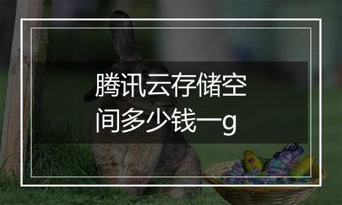 腾讯云存储空间多少钱一g
