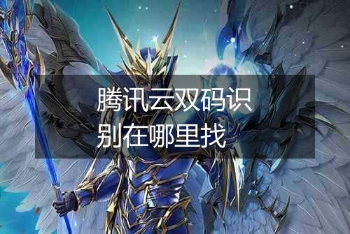 腾讯云双码识别在哪里找