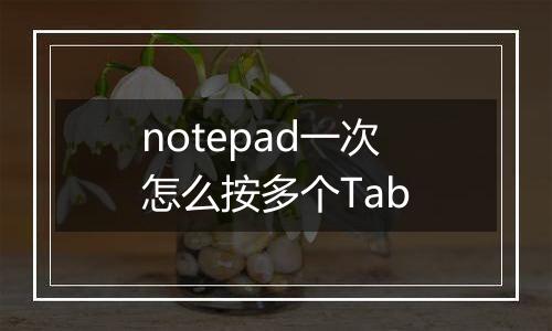 notepad一次怎么按多个Tab