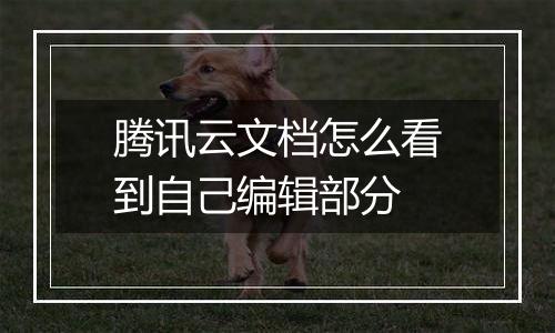 腾讯云文档怎么看到自己编辑部分