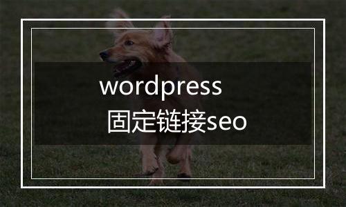 wordpress 固定链接seo
