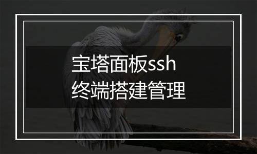 宝塔面板ssh终端搭建管理