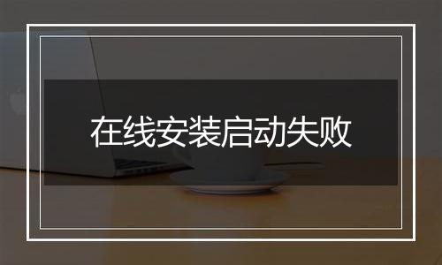 在线安装启动失败