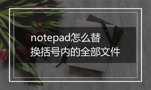 notepad怎么替换括号内的全部文件