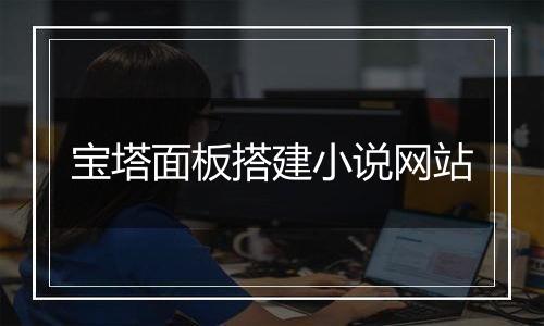 宝塔面板搭建小说网站