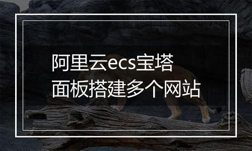 阿里云ecs宝塔面板搭建多个网站