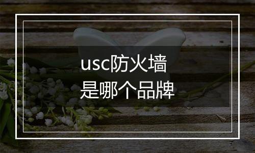 usc防火墙是哪个品牌