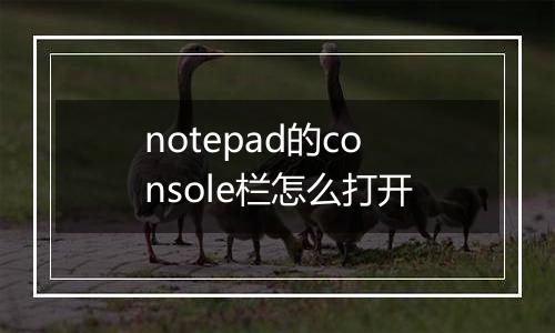 notepad的console栏怎么打开