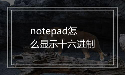 notepad怎么显示十六进制