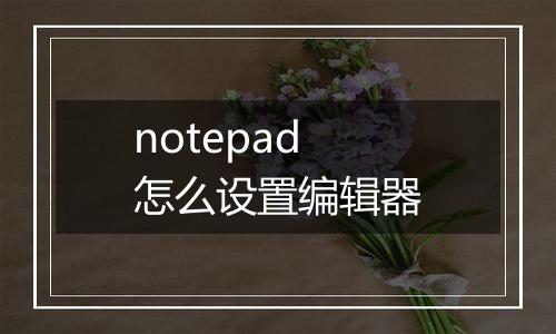 notepad怎么设置编辑器