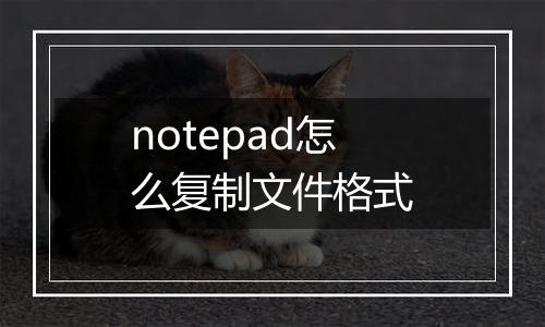 notepad怎么复制文件格式
