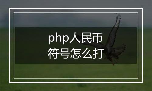 php人民币符号怎么打