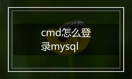 cmd怎么登录mysql