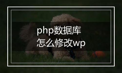 php数据库怎么修改wp