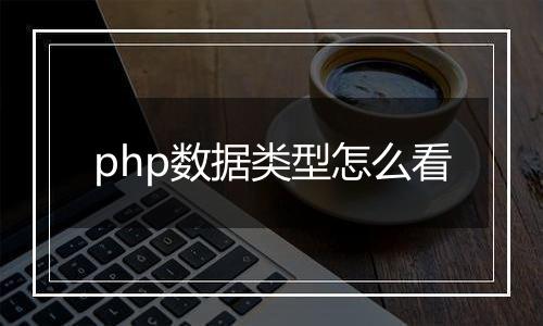 php数据类型怎么看