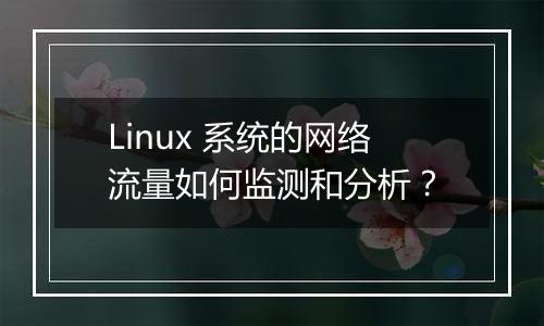 Linux 系统的网络流量如何监测和分析？