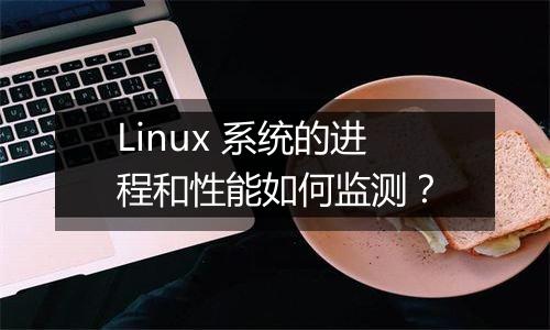 Linux 系统的进程和性能如何监测？