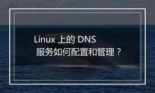 Linux 上的 DNS 服务如何配置和管理?