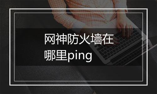 网神防火墙在哪里ping