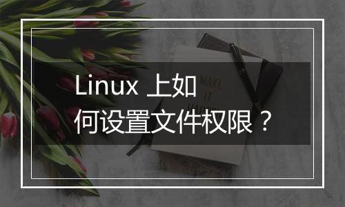 Linux 上如何设置文件权限?