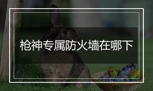 枪神专属防火墙在哪下