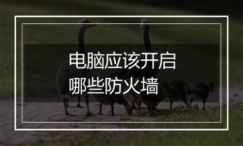 电脑应该开启哪些防火墙