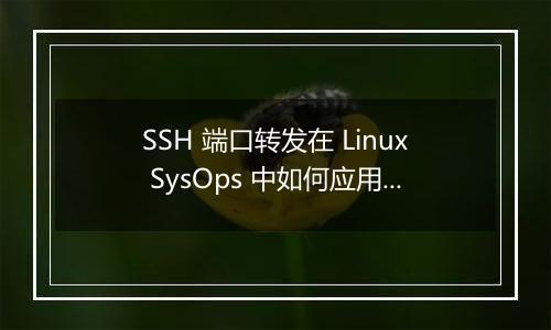 SSH 端口转发在 Linux SysOps 中如何应用？