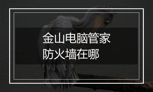 金山电脑管家防火墙在哪