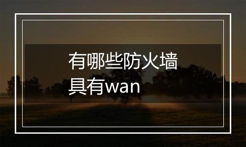 有哪些防火墙具有wan