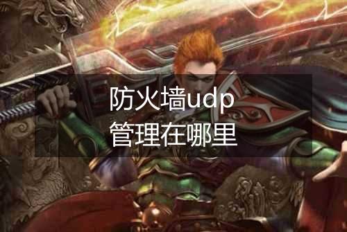 防火墙udp管理在哪里