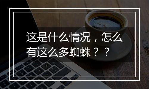 这是什么情况,怎么有这么多蜘蛛??