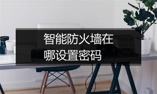 智能防火墙在哪设置密码