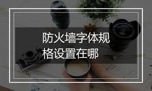 防火墙字体规格设置在哪
