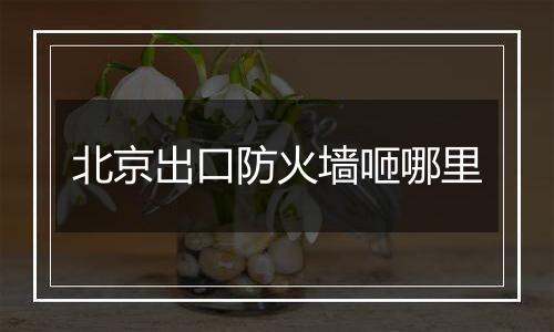 北京出口防火墙咂哪里