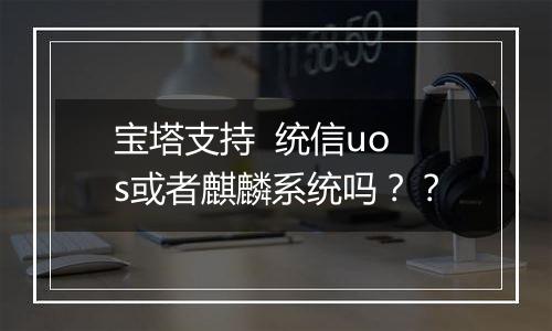 宝塔支持 统信uos或者麒麟系统吗??