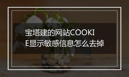 宝塔建的网站COOKIE显示敏感信息怎么去掉