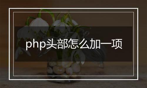 php头部怎么加一项