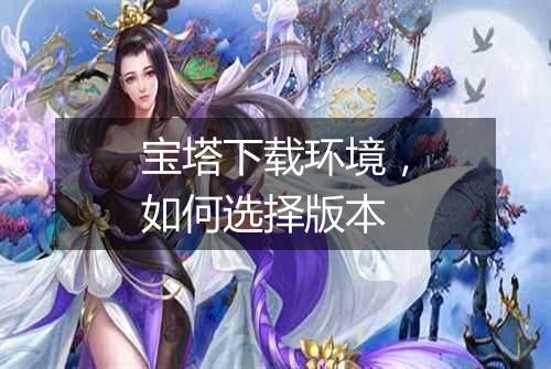 宝塔下载环境，如何选择版本