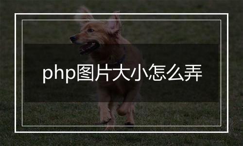 php图片大小怎么弄