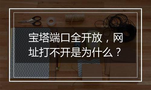 宝塔端口全开放,网址打不开是为什么?