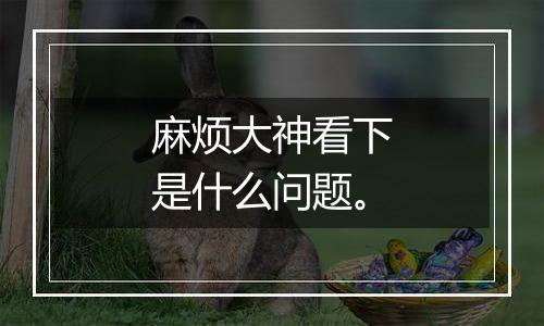 麻烦大神看下是什么问题。