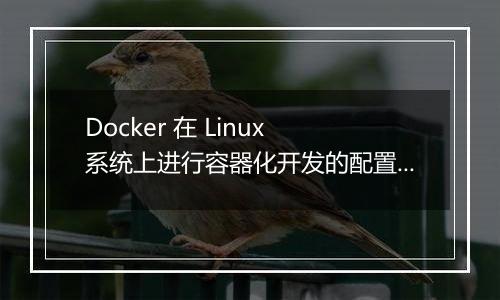 Docker 在 Linux 系统上进行容器化开发的配置方法是什么?