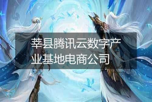 莘县腾讯云数字产业基地电商公司