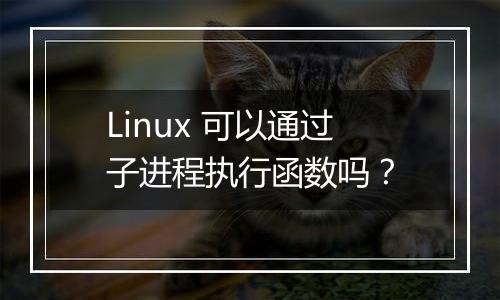 Linux 可以通过子进程执行函数吗？