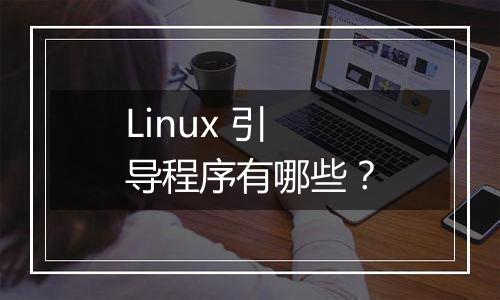 Linux 引导程序有哪些?