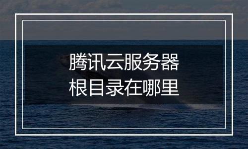 腾讯云服务器根目录在哪里