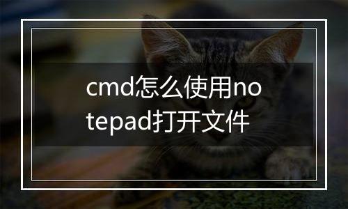 cmd怎么使用notepad打开文件
