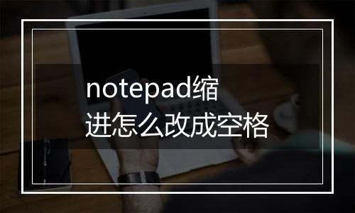 notepad缩进怎么改成空格
