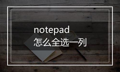 notepad怎么全选一列