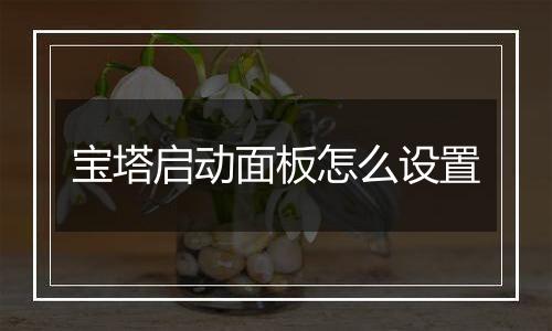 宝塔启动面板怎么设置